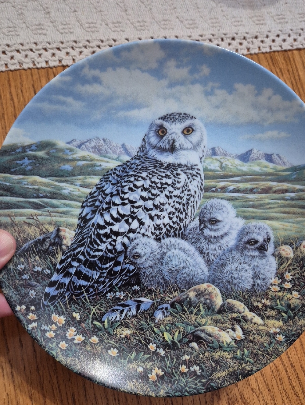 Knowles White and Black Arctic Spring: Snowy Owls Commemorative Plate 1992